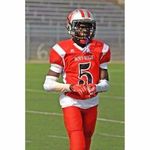 Tariq - @hard2gvurd_nelson - Instagram