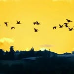 tariq - @tariqodeh1_ - Instagram
