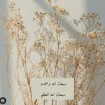 Tariq - @tariqodeh_81 - Instagram