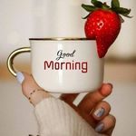 Tariq Qamar - @tariqqamar114 - Instagram
