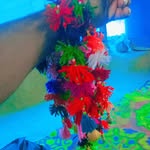 Raveena Tariq Jani - @tariq_raja_18 - Instagram