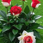 tariq raja - @tariqraja721 - Instagram