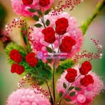 Tariq Raja - @tariq.raja.169067 - Instagram