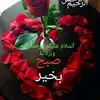 tariqraja - @tariqraja732 - TikTok