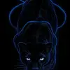 Tariq Robinson - @tariq.robinson5 - TikTok