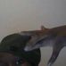 Tariq Robinson - Facebook