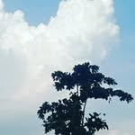 T Saiyed - @tariq.saiyed - Instagram