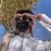 Tariq Salam - Facebook