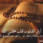 Tariq Salameh - @tariq.salameh - Instagram