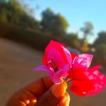 Tariro Kwaramba - @just_being_tarie - Instagram