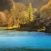 Tariro Kwaramba - @hopedismissed - TikTok