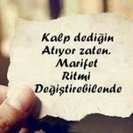 Tarkan Dogan - @tarkandogan14 - Instagram