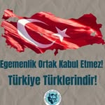 Tarkan Doğan - @tarkan.dogan2 - Instagram