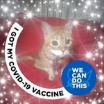 Tarra Johnson - @waterlilly_86 - Instagram