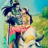 tarunshweta tyagi - @taruntyagi3561 - TikTok