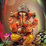 Tarunkumar Patel - @tarunpatel161085 - Instagram