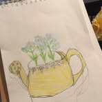 Taryn Allen - Facebook