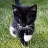 tarynatkinson792 - @tarynatkinson792 - TikTok