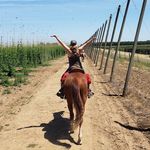 Taryn Rose Cummings - @hickchick_barefoothoofcare - Instagram