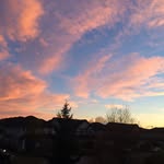 Taryn - @tarynclements44 - Instagram