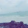 taryn cole - @taryn.cole121 - TikTok