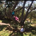 Taryn Gow Davidson - @tazala2005 - Instagram
