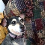 Taryn Kathleen Harley Davidson - @tkharley2005 - Instagram