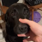 Daryn Dempsey - Facebook