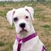 Taryn Eddy - Facebook