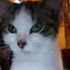 taryneddy476 - @taryneddy476 - TikTok