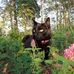 Tarzan Fransson  - Facebook