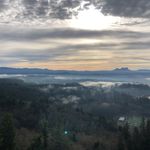 Taryn Hamilton - @tmgh300 - Instagram