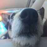 Tarynheberttopproducer - @tarynheberttopproducer - Instagram