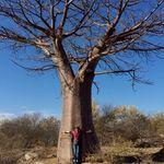 Taryn James - @livinginbewilderness - Instagram