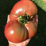 Taryn James - @farmertaryn - Instagram