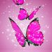 Taryn Kay - Facebook