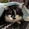 Taralyn Knox - @taralyn.knox5 - TikTok