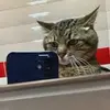 Taryn - @taryn13knuth - TikTok