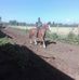 Dairon Laborde - Facebook