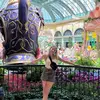 Taryn Lamb - @taryn_lamb1 - TikTok