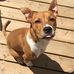 Taryn Larson - Facebook