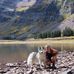 Taryn Lawrence - Facebook