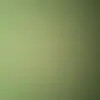 Taryn Marshall - @taryn.marshall6 - TikTok