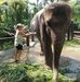 Taryn Miles - Facebook