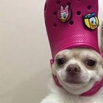 taryn poole - @syfekp70 - Instagram