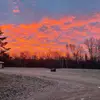 Taryn Ross - @asap.wastbin - TikTok