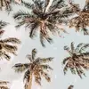 Vacation Vlogs - @taryn.schultz - TikTok