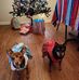 Taryn Sharp - Facebook