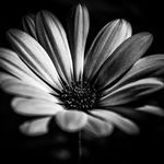 Taryn Simmons - @tarynsimmphoto42021 - Instagram