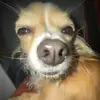 Taryn - @taryn.simmons - TikTok